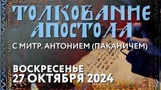 Воскресенье, 27 октября 2024 года. Толкование Апостола с митр. Антонием (Паканичем).