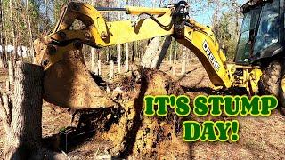 Getting the stumps out of the house build spot!! farm, tiny house, homesteading, RV life, RV living|