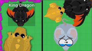 When You Get KING DRAGON By LUCK Then DOWNGRADE TO MOUSE in Mope.io