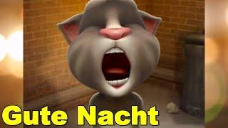  Video Gruß ️ Guten schönen Abend Gute Nacht  Schlafe träume schön  sprechende Katze Talking Tom