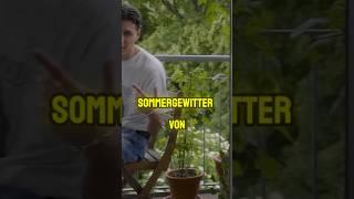 DEUTSCHRAP BANGER: Sommergewitter - Pashanim #pashanim #sommergewitter #deutschrap #rap #fyp