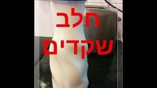 רנטה בן דוד - חלב שקדים