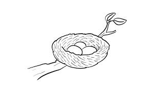 How to Draw a Simple Birds Nest | Step-by-Step Lesson