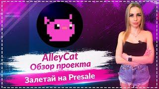 AlleyCat - обзор проекта Залетай на Presale Листинг на BitMart и LBank