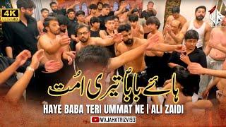 Haye Baba Teri Ummat Ne | Ali Zaidi #bibifatima #matamdari #yaali