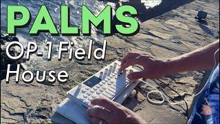 Palms - OP-1 Field - House