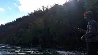 Salmon fishing the niagara whirlpool Oct 2018