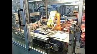 Solar PV Module Assembly Process