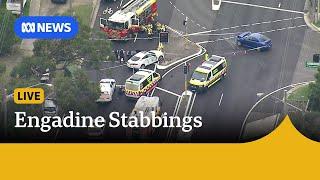 IN FULL: NSW Police update on Engadine stabbings and crash | ABC News