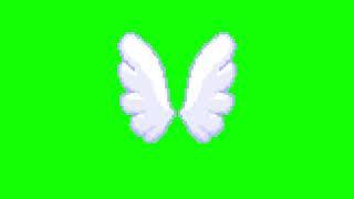 Green Screen Animated Butterfly Wings | Free Download