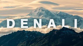 MUST DO in Denali National Park | Wildlife, Hikes, Park Bus, & History [S1-E15]