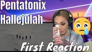 Pentatonix Hallelujah Reaction | Just Jen Reacts To Pentatonix Hallelujah For The First Time