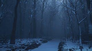 Seamless looping animation of winter forest path in a fog - Free Stock Footage HD