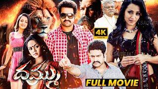 Dhammu All Time Super Hit Action/Romance Drama Telugu Full Length HD Movie || Jr NTR || Matinee Show