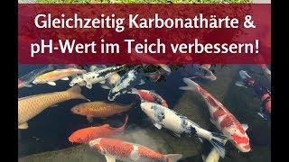 Optimale Karbonathärte im Teich erhalten & pH-Wert im Teich stabilisieren – so klappt´s!