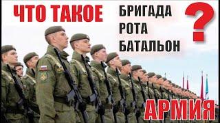 Что Такое Звено, Бригада, Полк, Рота ? Сравнение по количеству человек