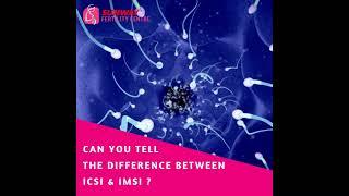 IMSI vs ICSI | Sunway Fertility Centre