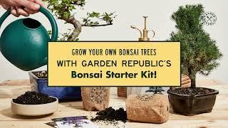 Meet: Our Bonsai Starter Kit