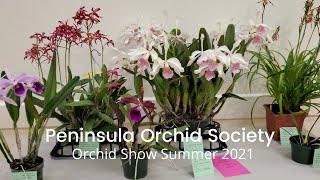 Peninsula Orchid Society Orchid Show | Summer 2021