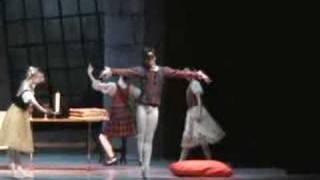 Ian Poulis- Harlequin Doll in Coppélia