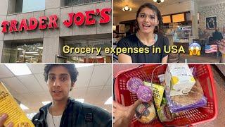 My Grocery Expenses In USA  (हिन्दी)