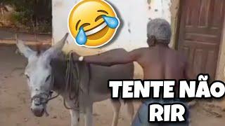 TENTE NÃO RIR: OS MELHORES VÍDEOS DA INTERNET #videosengraçados #tentenaorir #comedia #humor #tiktok