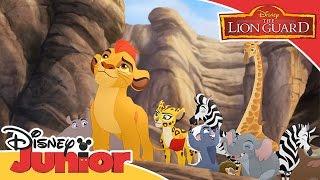 Here Comes The Lion Guard | حفل ديزني جونيور الصيفي - قيادة الأسد الحارس