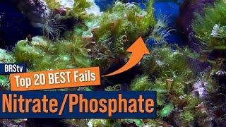 Top 20 Nitrate & Phosphate Mistakes You're Making Right Now In Your Reef Tank.