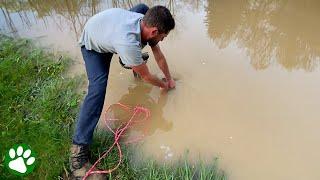 Dad Saves Turtle Stuck in Flooded Pipe