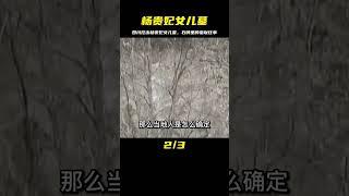 四川挖出楊貴妃女兒墓，墓中出土的石碑，揭露了一段羞恥不堪往事 #紀中百事 #古董 #開棺 #古墓 #考古發現