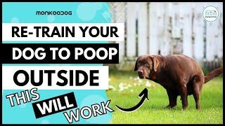 RE-Train Your Adult Dog  to Potty  outside the house. II Dog Potty Training II Monkoodog