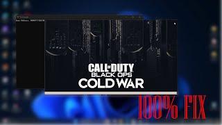 Call of Duty Black Ops Cold War stuck in loading screen