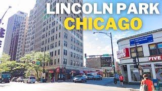 Exploring Lincoln Park Chicago. The BEST Neighborhood in the City