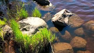На природе: Каменистый берег озера