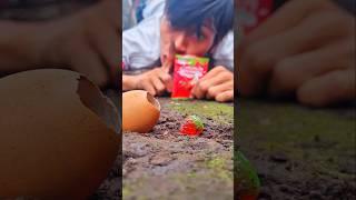 No sound, so that the millipede comes out of its egg #shortvideo #millipede