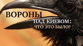 ВОРОНЫ НАД КИЕВОM: ЧТО ЭТО БЫЛО?