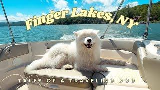 My dog's first time on a boat | Finger Lakes Vacation