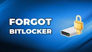 What to Do If Forgot BitLocker Password in Windows 11?