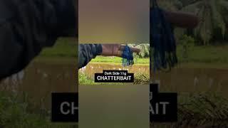 CHATTER BAITS | 11G | BLUE + BLACK SKIRT | Casting Haruan Segamat |