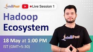 Hadoop Eco system | Hadoop Architecture | Hadoop Ecosystem Components | Intellipaat