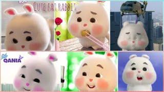 Qania and cute fat rabbit | Si embul kelinci lucu (all compilation)