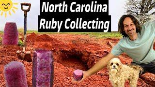 Ruby & Sapphire Discovery in a North Carolina BACKYARD 