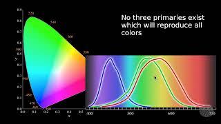 Color Science Basics For Filmmakers