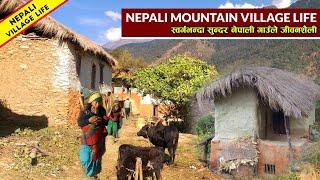 Very Beautiful Nepali Mountain Village || Nepal Village Life || IamSuman