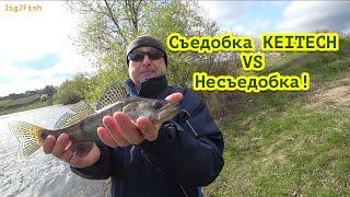 Edible KEITECH versus inedible fishing lures!