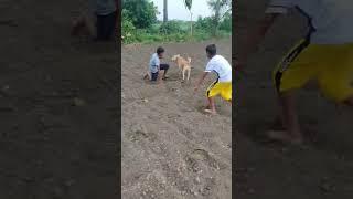 dog ke sath masti  #shorts #funny #bhanja #viral #youtubeshorts #doglover