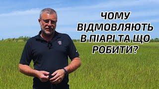 ВажливоЧому українцям відмовляють в канадському піарі.