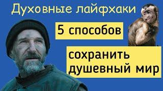 Сохранить душевный мир. 5 способов. Духовные лайфхаки от иерея Михаила Литвищенко.