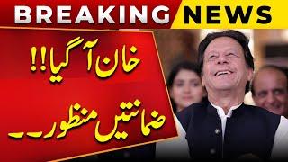 Court Approves Bail Of Imran Khan | Good News For PTI | Breaking News | Public News