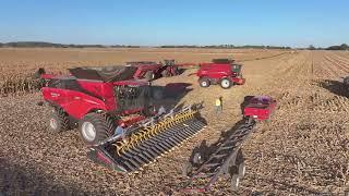 Unleashing the ALL-NEW Case IH AF10 Combine in Action! | Central IL Harvest 2024